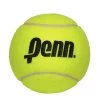 Penn 10 Inch Jumbo Inflatable Tennis Ball -Racquet Equipment Shop 581022 4 in penn ball 1a5a5814 9846 4bdd a851 b5009a69d2bd