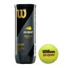 Wilson US Open Extra Duty Tennis Balls 1 Wilson US Open Extra Duty Tennis Balls -Racquet Equipment Shop US Open Official Extra Duty 3ball Can Front LOGO 5135b62b bfd1 4074 9182 f51b33156923