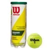 Wilson Championship Regular Duty Tennis Balls 2 Wilson Championship Regular Duty Tennis Balls -Racquet Equipment Shop WRT100301Championship Regular Duty