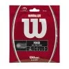 Wilson Natural Gut 17/1.25 Tennis String (Natural) 2 Wilson Natural Gut 17/1.25 Tennis String (Natural) -Racquet Equipment Shop WRZ999900 Natural Gut 17 PKG